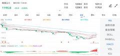 焦煤主力合约较昨收下跌0.89%（-11）黄金期货交易所