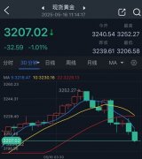 这一贵金属仍然是一种受青睐的资产_期货黄金