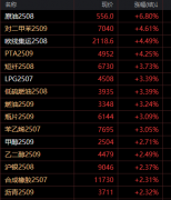 应该说是贵金属牛市前中期的补涨行情—纽约黄金新浪财经